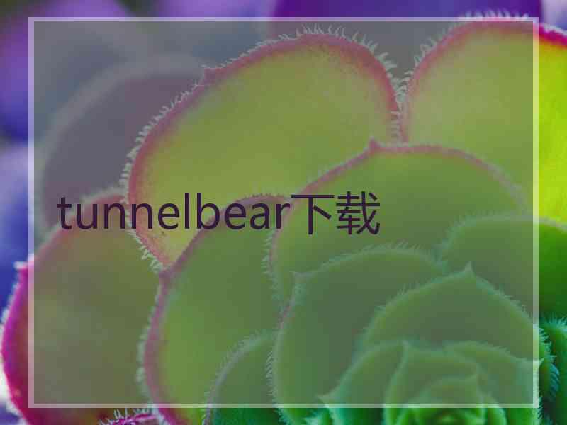 tunnelbear下载