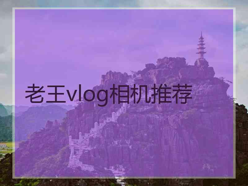 老王vlog相机推荐