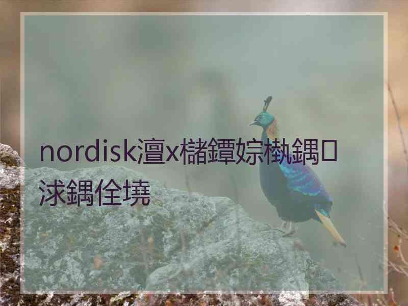 nordisk澶х櫧鐔婃槸鍝浗鍝佺墝