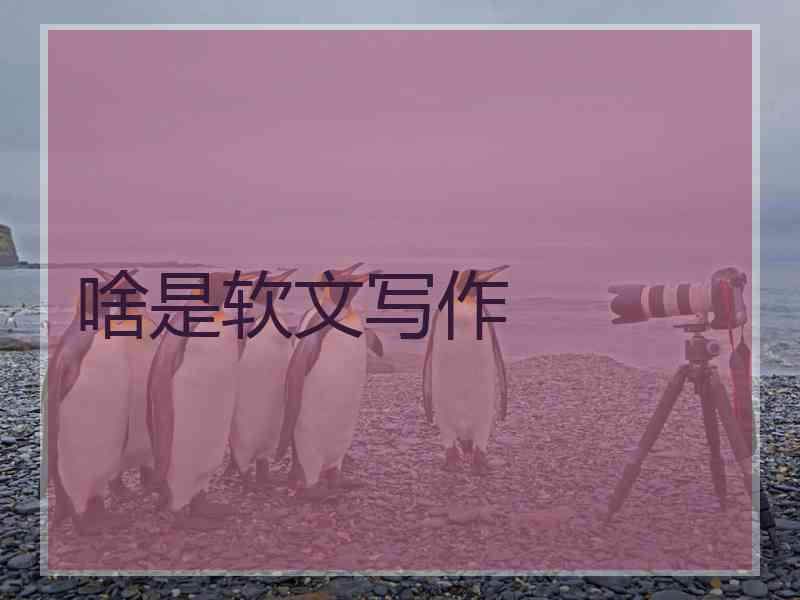 啥是软文写作