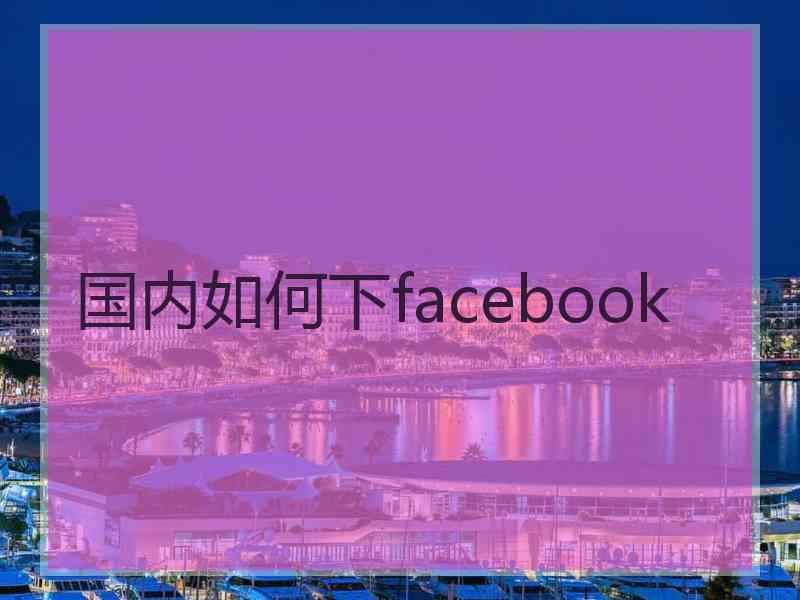 国内如何下facebook