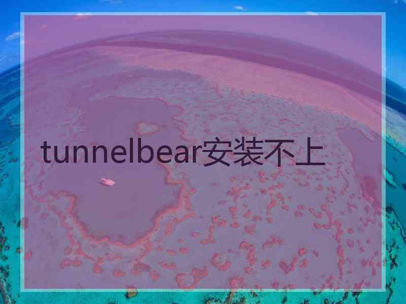 tunnelbear安装不上