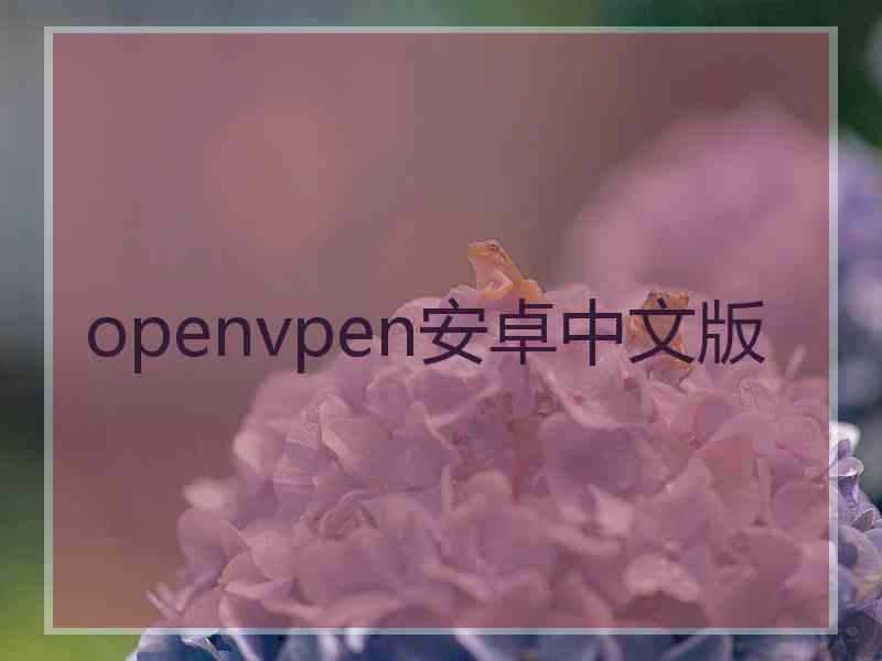 openvpen安卓中文版