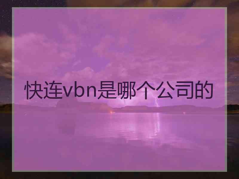 快连vbn是哪个公司的