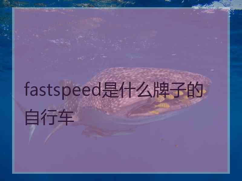 fastspeed是什么牌子的自行车