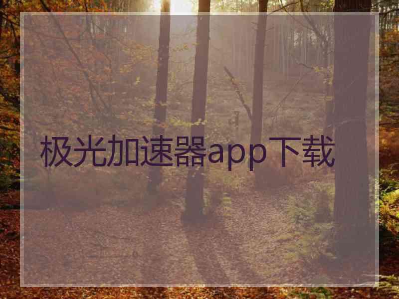 极光加速器app下载