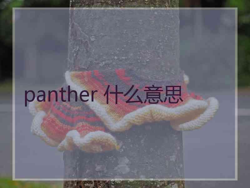 panther 什么意思