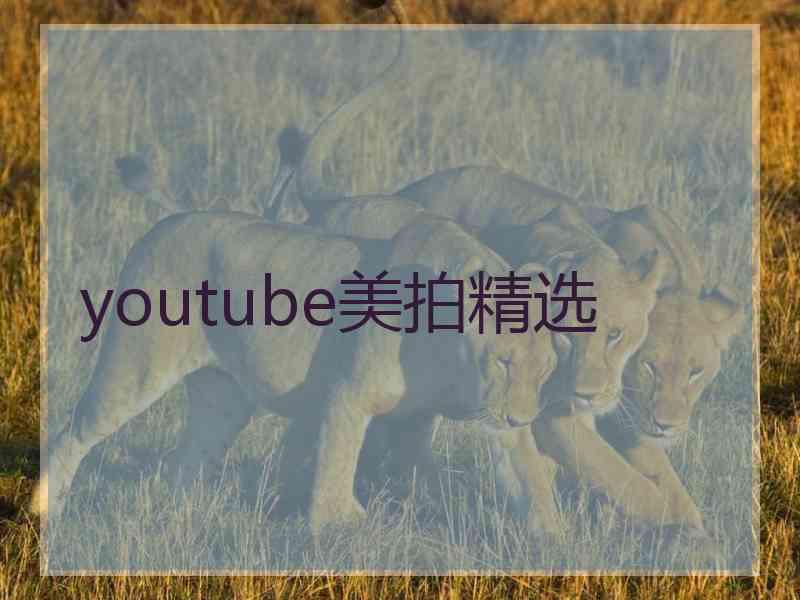 youtube美拍精选