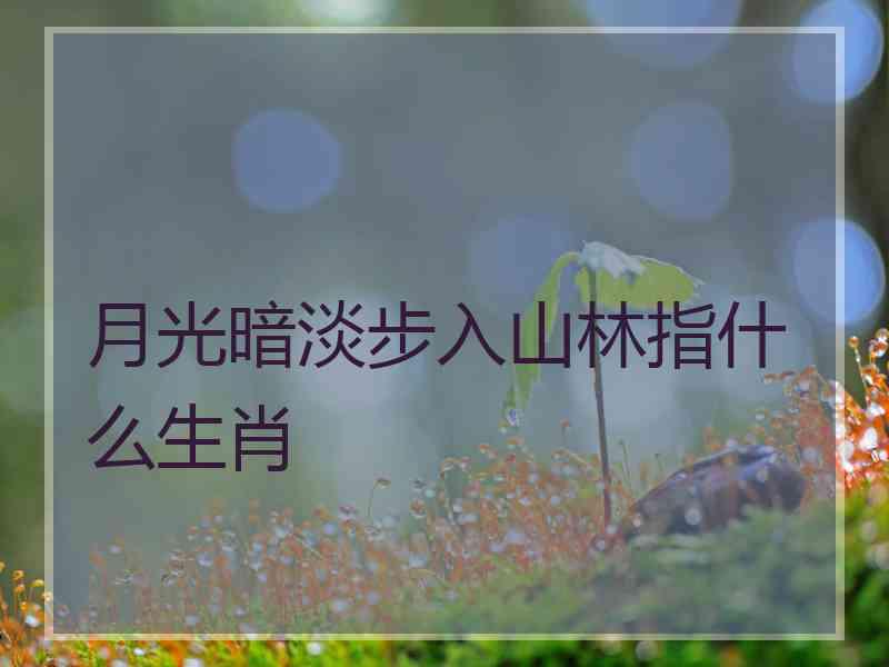 月光暗淡步入山林指什么生肖