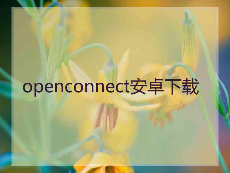 openconnect安卓下载