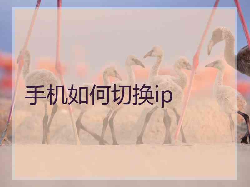 手机如何切换ip