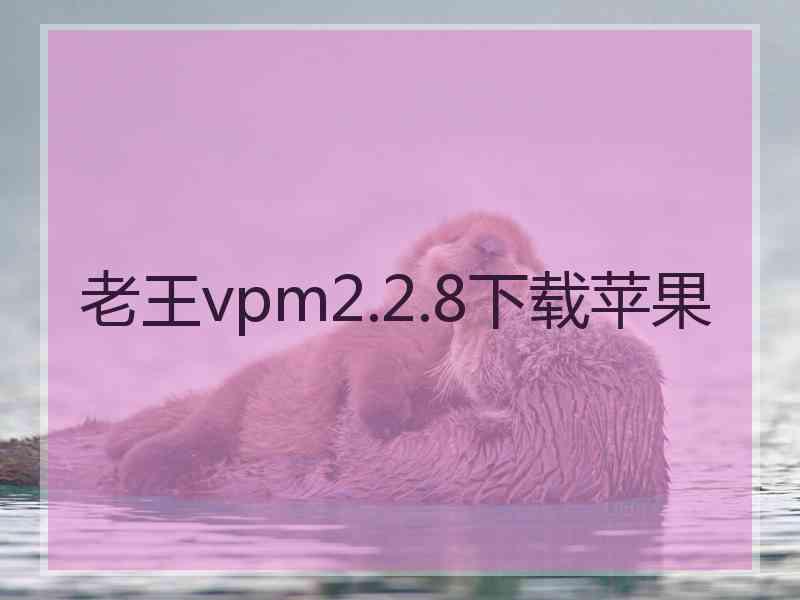 老王vpm2.2.8下载苹果