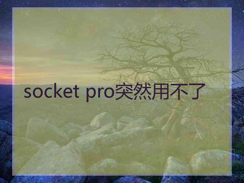 socket pro突然用不了