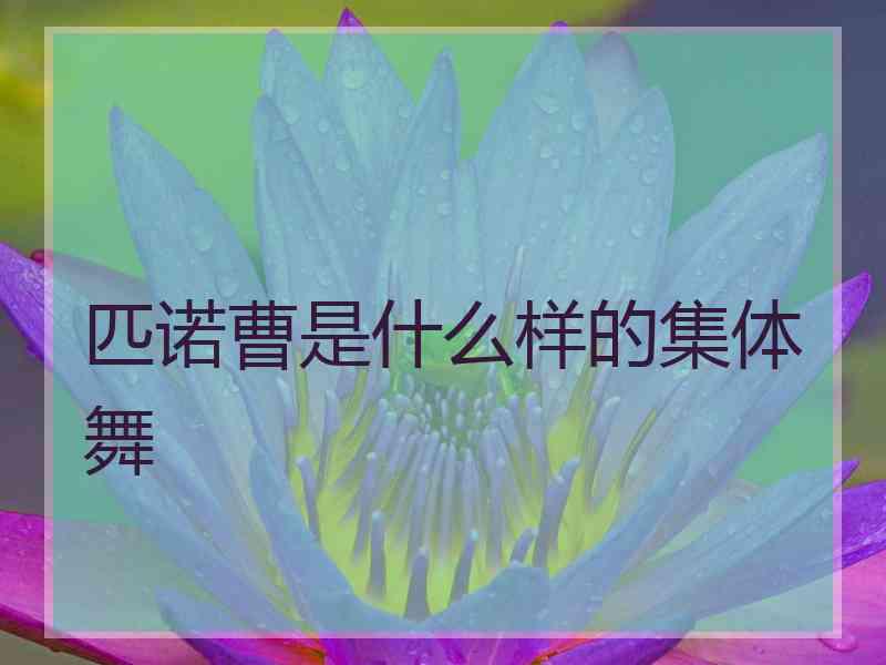 匹诺曹是什么样的集体舞