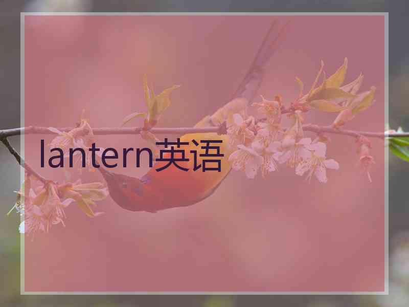 lantern英语