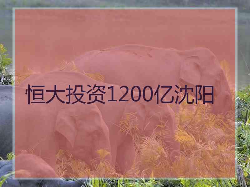 恒大投资1200亿沈阳