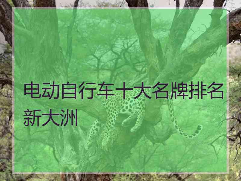 电动自行车十大名牌排名新大洲