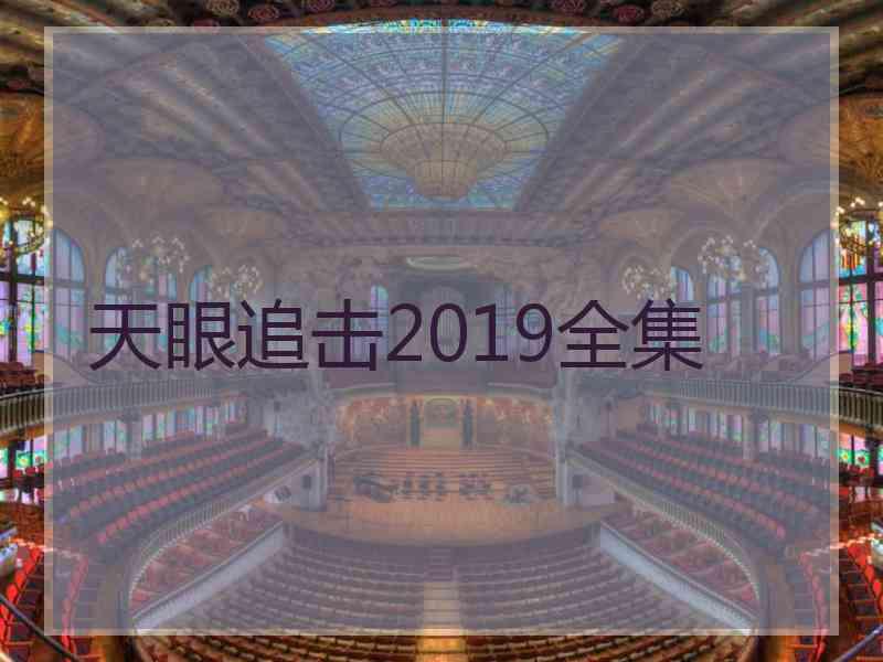 天眼追击2019全集