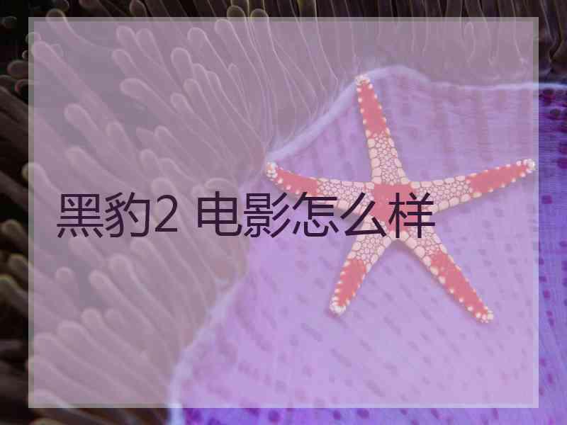 黑豹2 电影怎么样