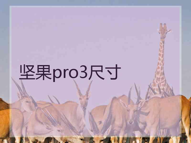 坚果pro3尺寸