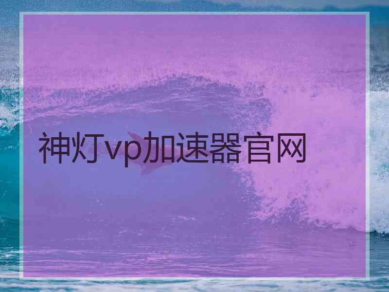 神灯vp加速器官网