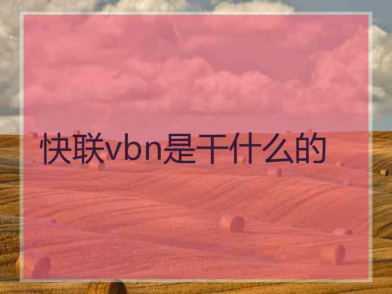 快联vbn是干什么的