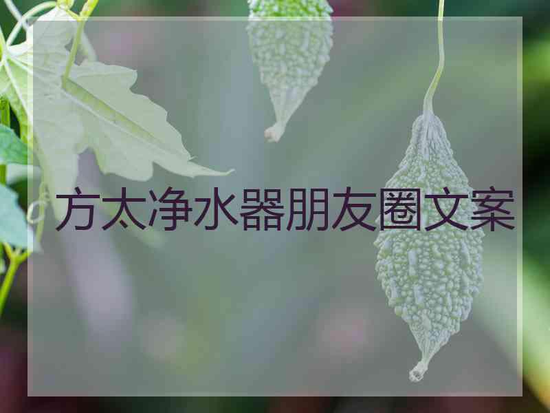 方太净水器朋友圈文案