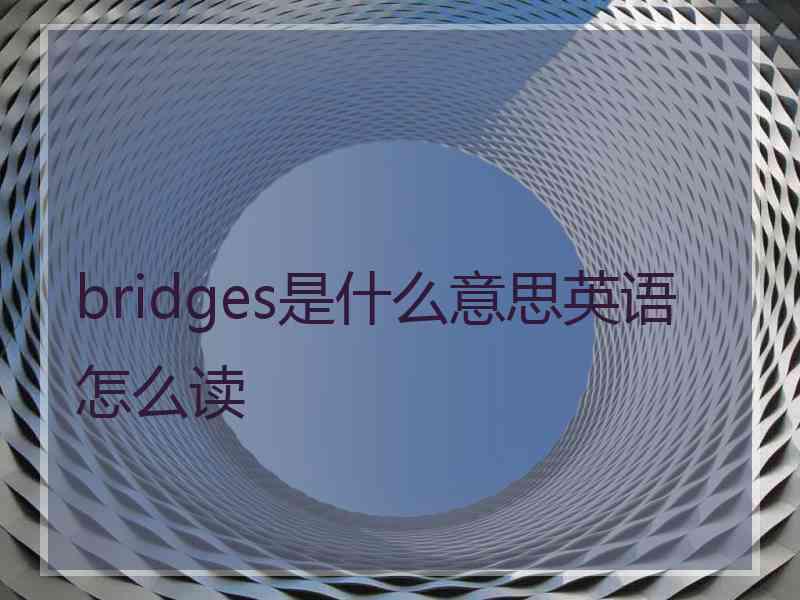 bridges是什么意思英语怎么读