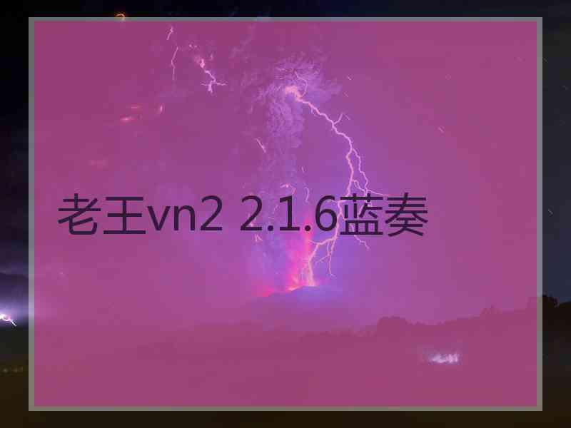 老王vn2 2.1.6蓝奏