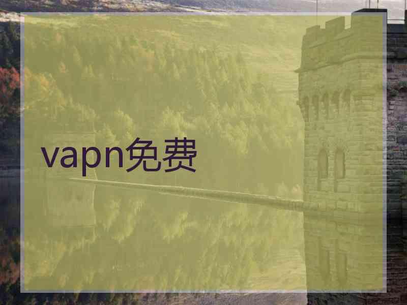 vapn免费