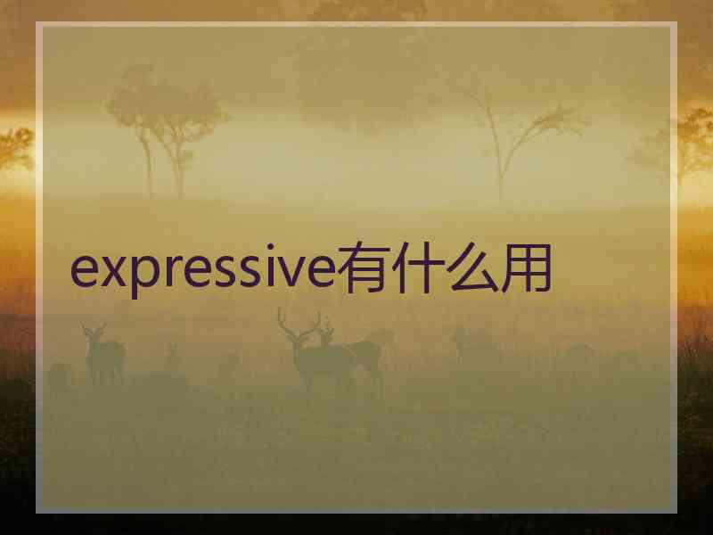 expressive有什么用