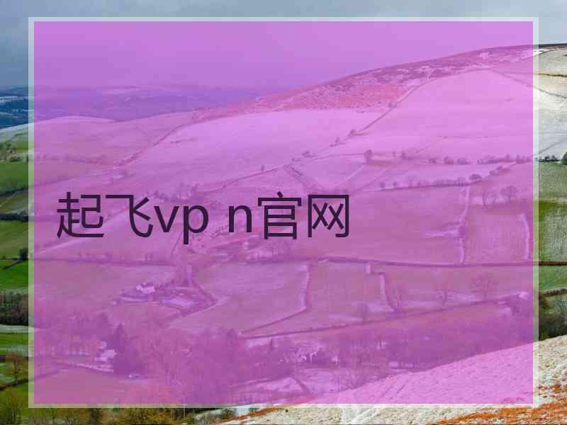 起飞vp n官网