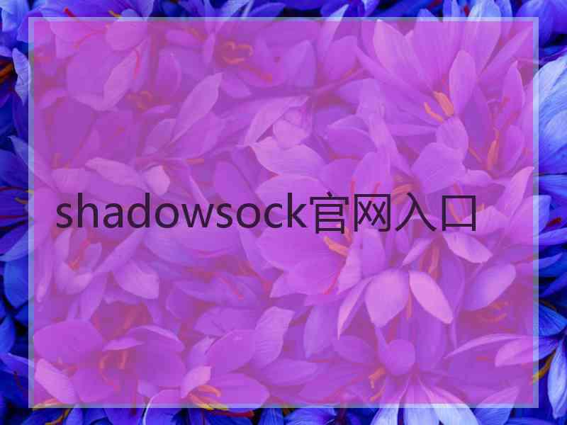 shadowsock官网入口