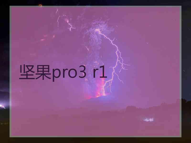 坚果pro3 r1