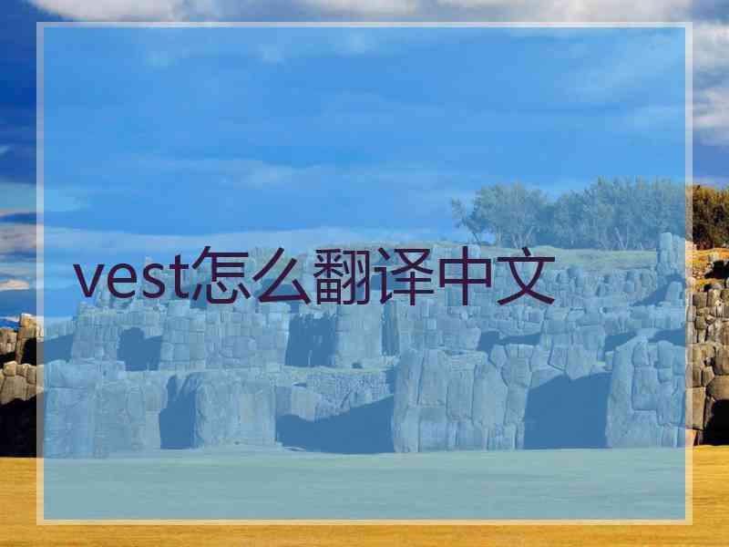 vest怎么翻译中文