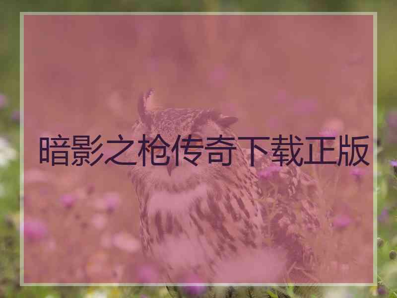 暗影之枪传奇下载正版