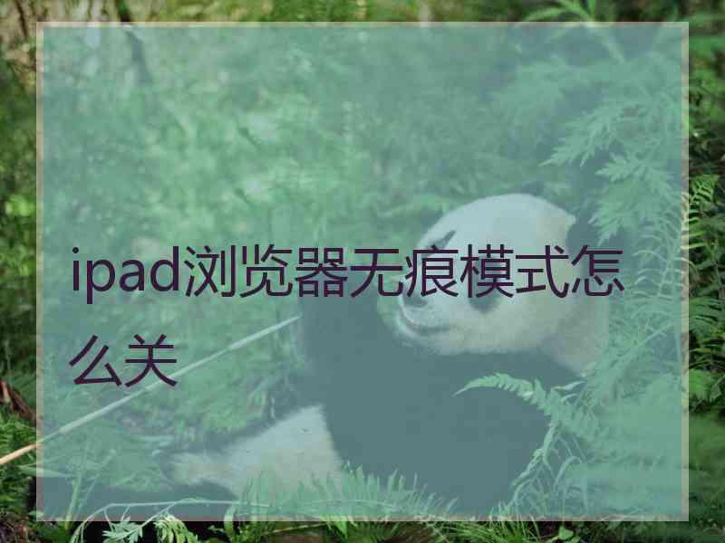 ipad浏览器无痕模式怎么关