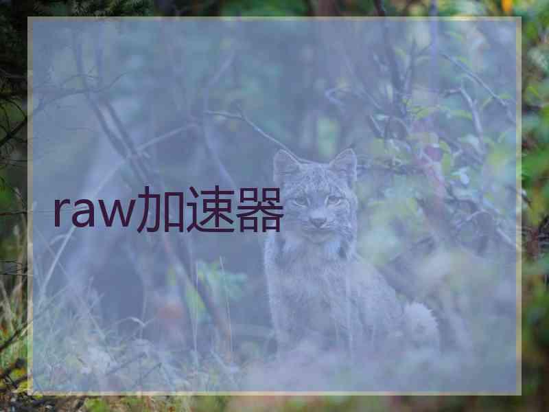 raw加速器