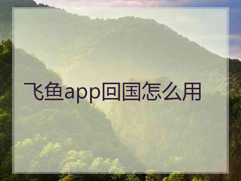 飞鱼app回国怎么用