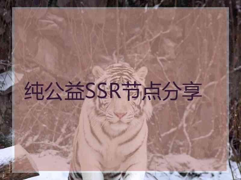 纯公益SSR节点分享