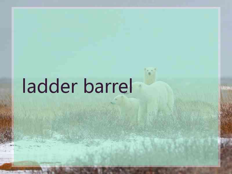 ladder barrel