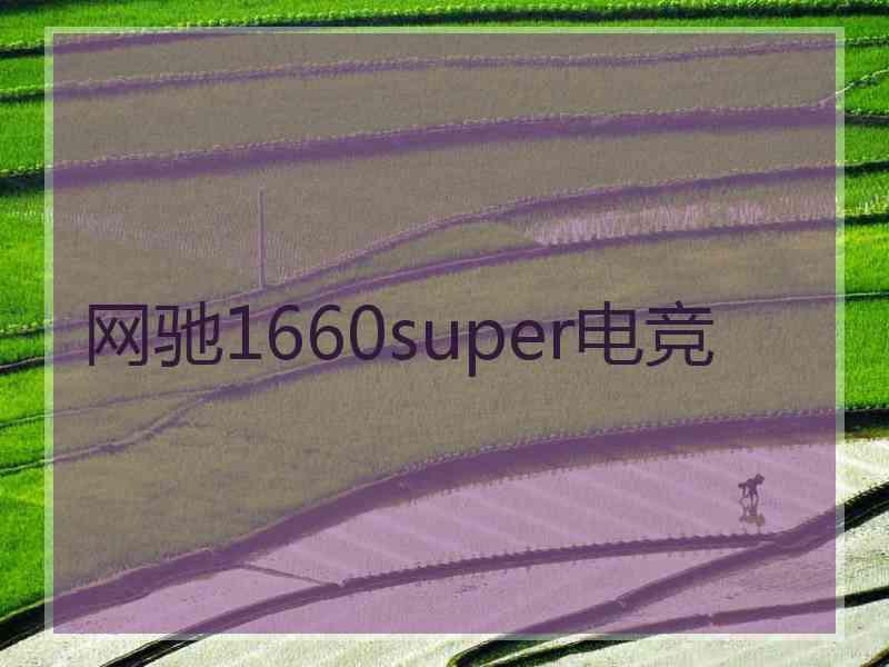 网驰1660super电竞