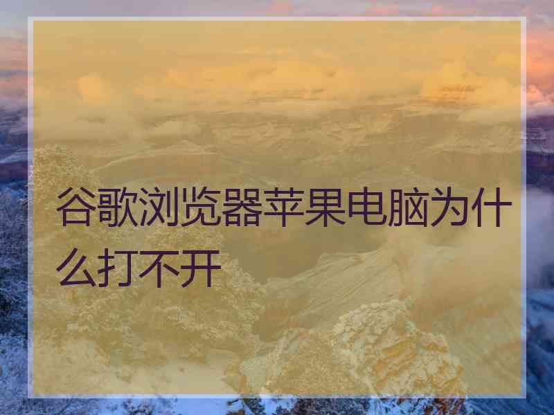 谷歌浏览器苹果电脑为什么打不开