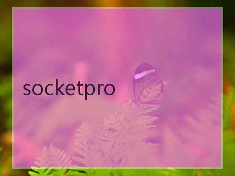 socketpro