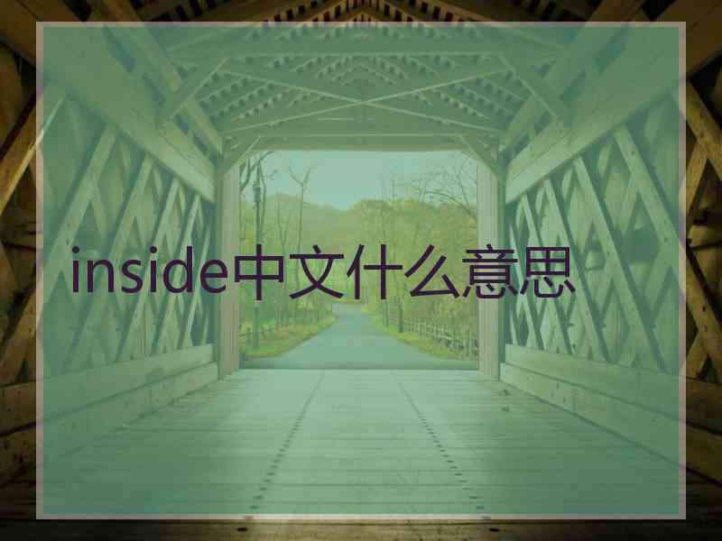 inside中文什么意思