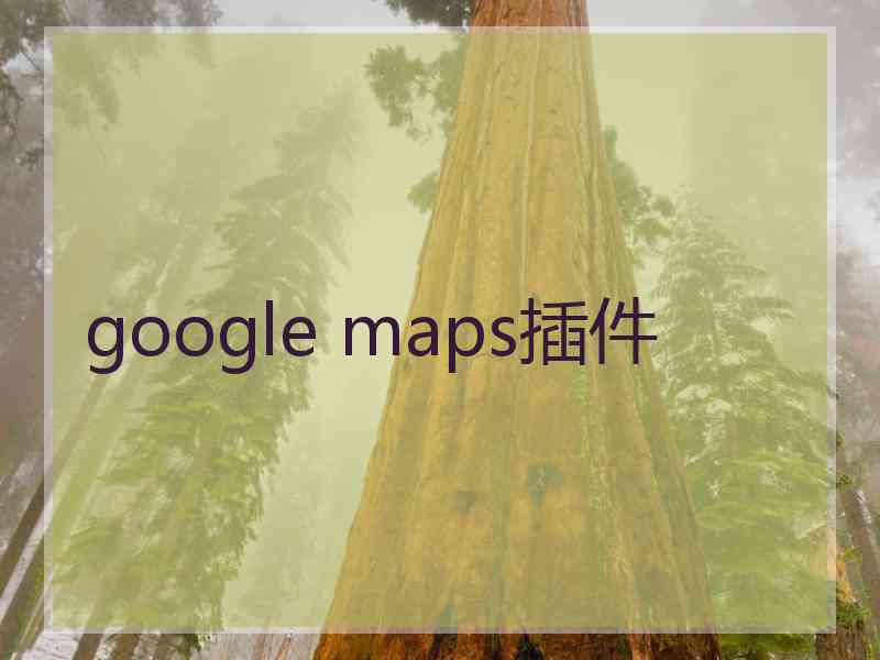 google maps插件