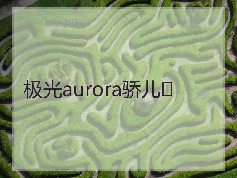 极光aurora骄儿❤