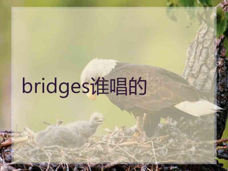 bridges谁唱的