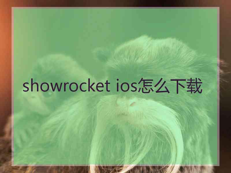 showrocket ios怎么下载