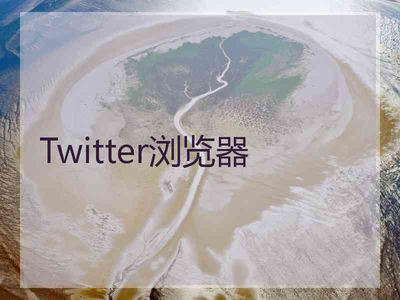 Twitter浏览器